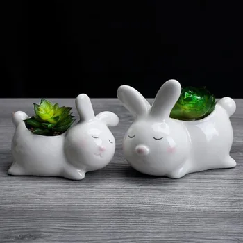 Cartoon Ceramic Rabbit Flowerpots Planters Succulent Pot Desk Flower Pot Office Ornaments Home Garden Decoration
Cartoon Ceramic Rabbit Flowerpots Planters Succulent Pot Desk Flower Pot Office Ornaments Home Garden Decoration