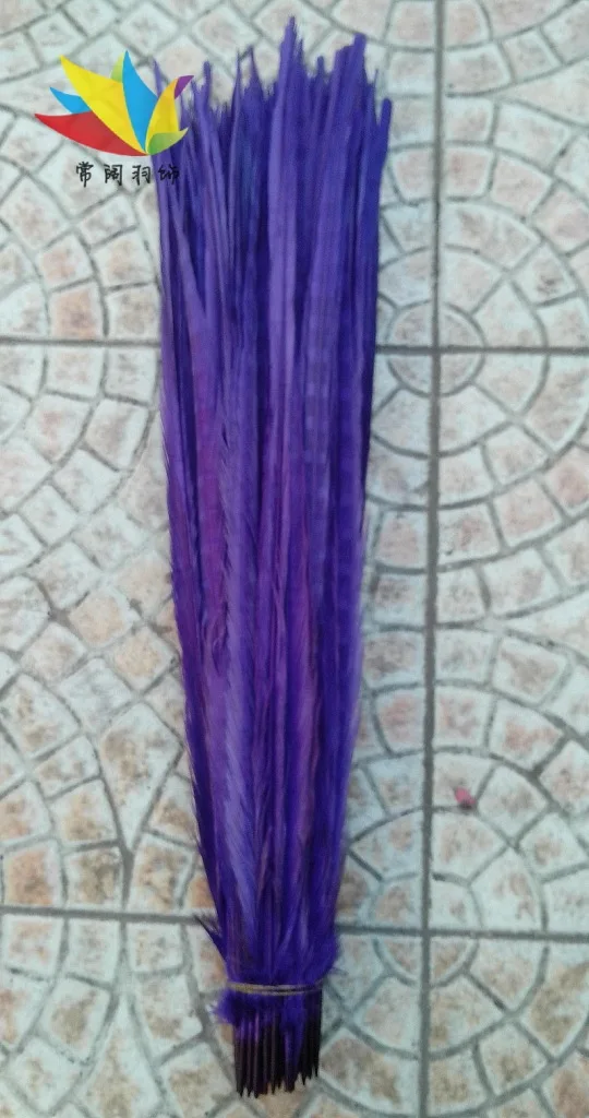 Wholesale 100pcs/lots pretty Dyed 55-60cm/22-24''' copper chicken feather blue pheasant Tail feathers
Wholesale 100pcs/lots pretty Dyed 55-60cm/22-24''' copper chicken feather blue pheasant Tail feathers