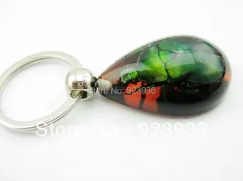 FREE SHIPPING 60 pcs wholesale fashion key-chains big green stone beetle real insect stainsess steel key-rings free shipping
FREE SHIPPING 60 pcs wholesale fashion key-chains big green stone beetle real insect stainsess steel key-rings free shipping
