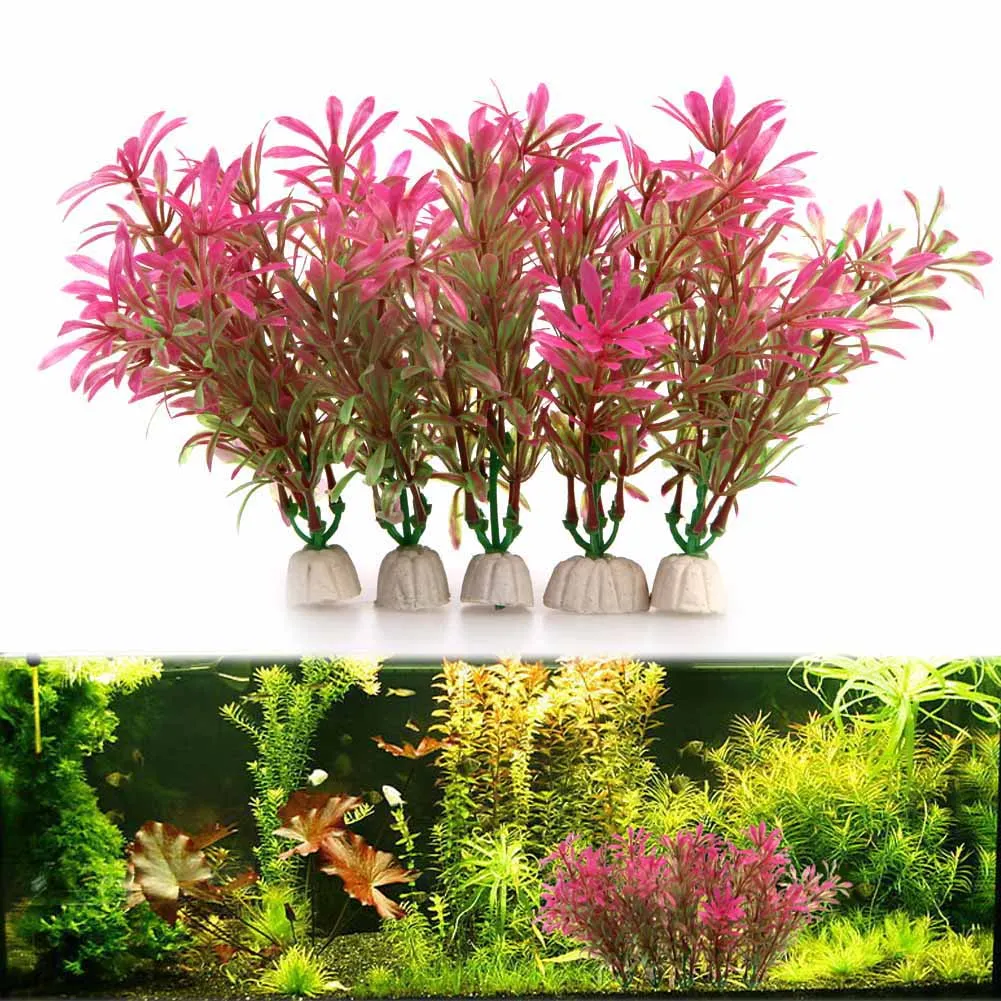 5Pcs Artificial Grass Stone Bottom Fish Tank Aquarium Decoration Artificial Simulation Aquatic Water Plants Aquarium Accessories
5Pcs Artificial Grass Stone Bottom Fish Tank Aquarium Decoration Artificial Simulation Aquatic Water Plants Aquarium Accessories