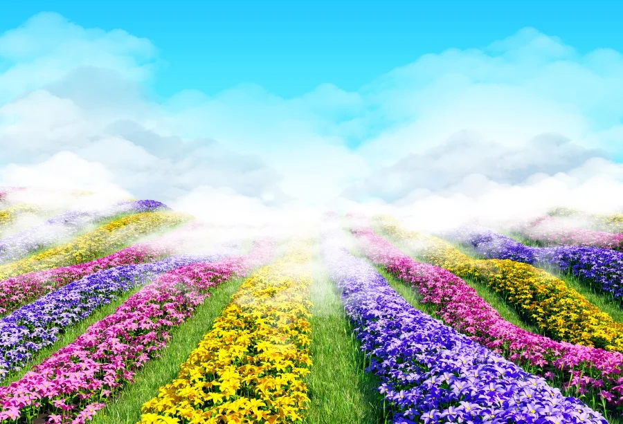 Laeacco Spring Blooming Flowers Blue Sky Scenic Nature Photography Background Customized Photographic Backdrops For Photo Studio
Laeacco Spring Blooming Flowers Blue Sky Scenic Nature Photography Background Customized Photographic Backdrops For Photo Studio