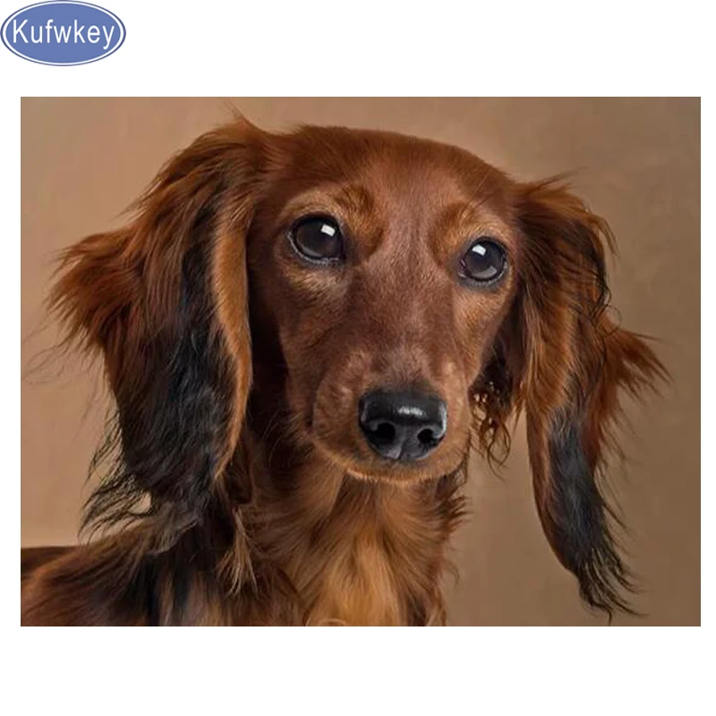 Full 5D Diy Daimond Painting Cross-stitch "Dachshund Puppies" 3D Diamond Mosaic square Round Rhinestones dog Painting decor art
Full 5D Diy Daimond Painting Cross-stitch "Dachshund Puppies" 3D Diamond Mosaic square Round Rhinestones dog Painting decor art