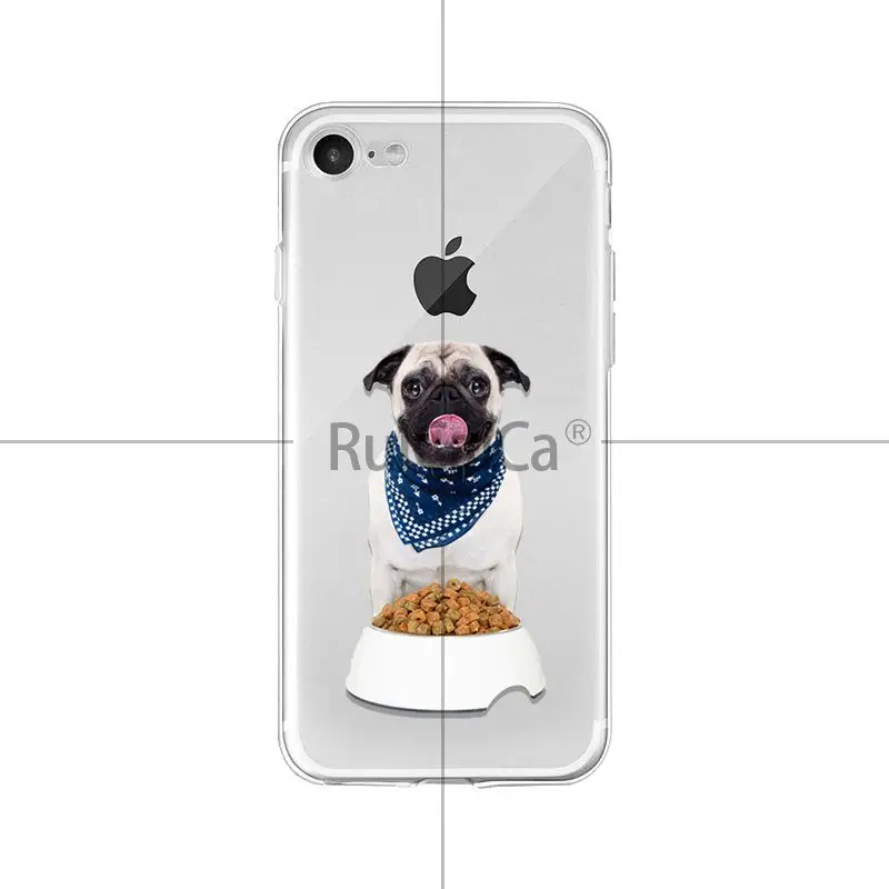 Cute Puppy Pug Cool French Bulldog Dog
