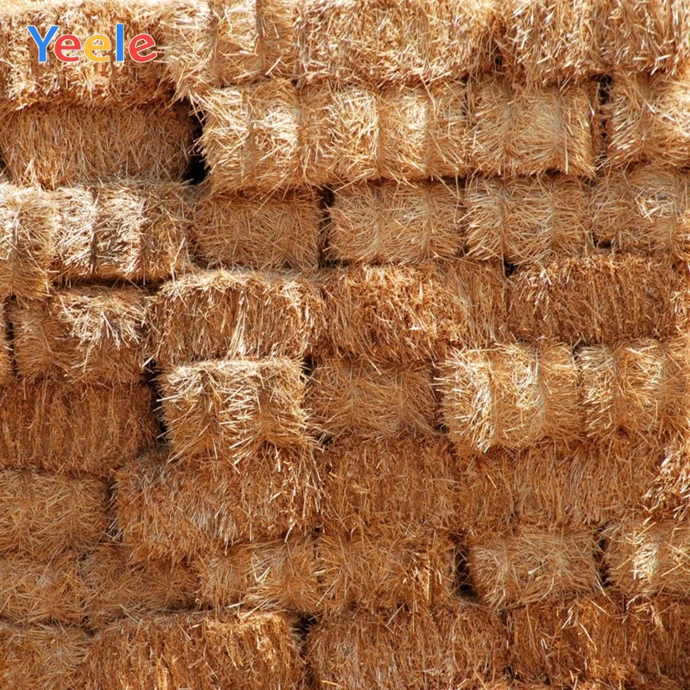 Yeele Autumn Rural Farm Field Haystack Photography Backdrop Personalized Newborn Baby Backdrops Photographic For Photo Studio
Yeele Autumn Rural Farm Field Haystack Photography Backdrop Personalized Newborn Baby Backdrops Photographic For Photo Studio