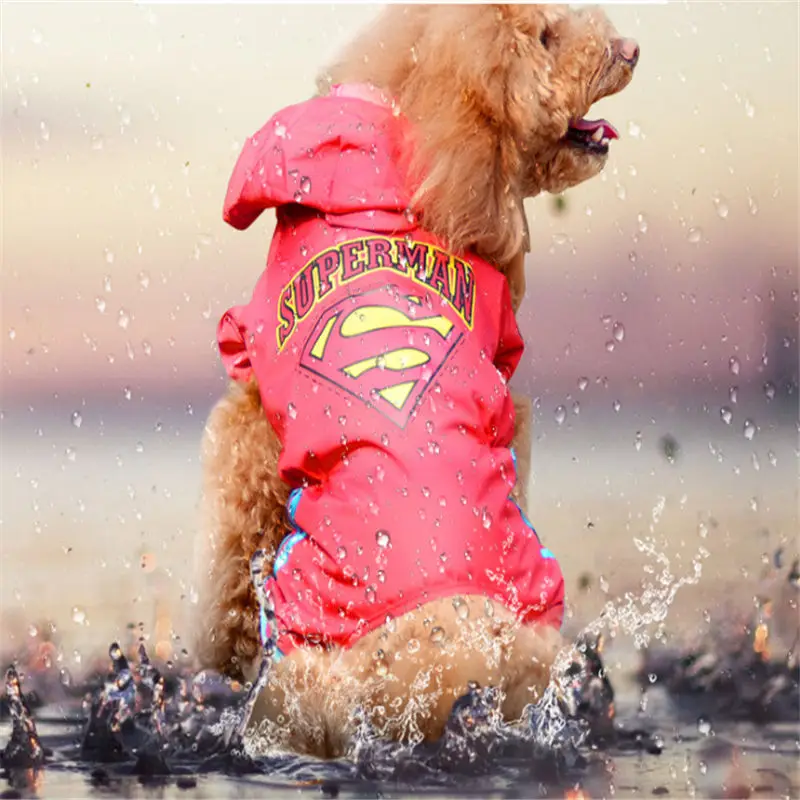 Dog Supervillain Raincoat Teddy Golden Maybe Bear Clothes Spring and Autumn Large Pet Raincoat
Dog Supervillain Raincoat Teddy Golden Maybe Bear Clothes Spring and Autumn Large Pet Raincoat