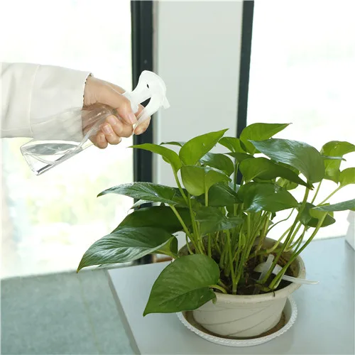 1PC Fine mist home garden plastic bottle Saplings sprayer watering can Office pouring vase Spray bottle Hair spray bottle
1PC Fine mist home garden plastic bottle Saplings sprayer watering can Office pouring vase Spray bottle Hair spray bottle