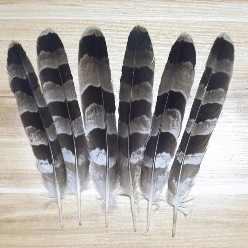 New! 10 pc quality natural eagle feathers, 9-12inches/22-30cm long, DIY jewelry decoration
New! 10 pc quality natural eagle feathers, 9-12inches/22-30cm long, DIY jewelry decoration