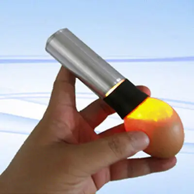 1 Pcs 9 LED Flash Light High Quality Egg Candler Incubator Candling Lamp For Light Dark Hatching Eggs
1 Pcs 9 LED Flash Light High Quality Egg Candler Incubator Candling Lamp For Light Dark Hatching Eggs