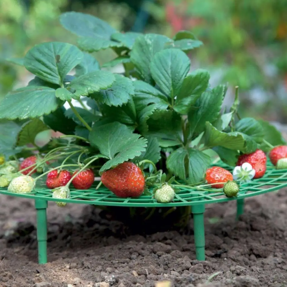 

10pcs Strawberry Frame Holder Balcony Planting Rack Fruit Support Shelf Plant Flower Climbing Vine Pillar Gardening Stand Round