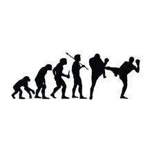 Kickboxing Evolution Decal Sticker Car Truck Window Creativity Car Accessories Motorcycle Helmet Car Styling Body Decals
Kickboxing Evolution Decal Sticker Car Truck Window Creativity Car Accessories Motorcycle Helmet Car Styling Body Decals