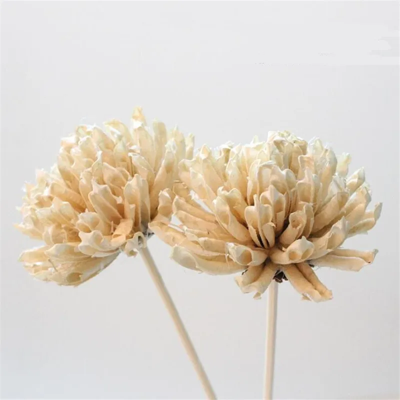 DIY Handmade Solid Color Sesame Flower Reed Diffuser Stick Home Decoration Simple Style Rattan Wholesales Drop Shipping
DIY Handmade Solid Color Sesame Flower Reed Diffuser Stick Home Decoration Simple Style Rattan Wholesales Drop Shipping
