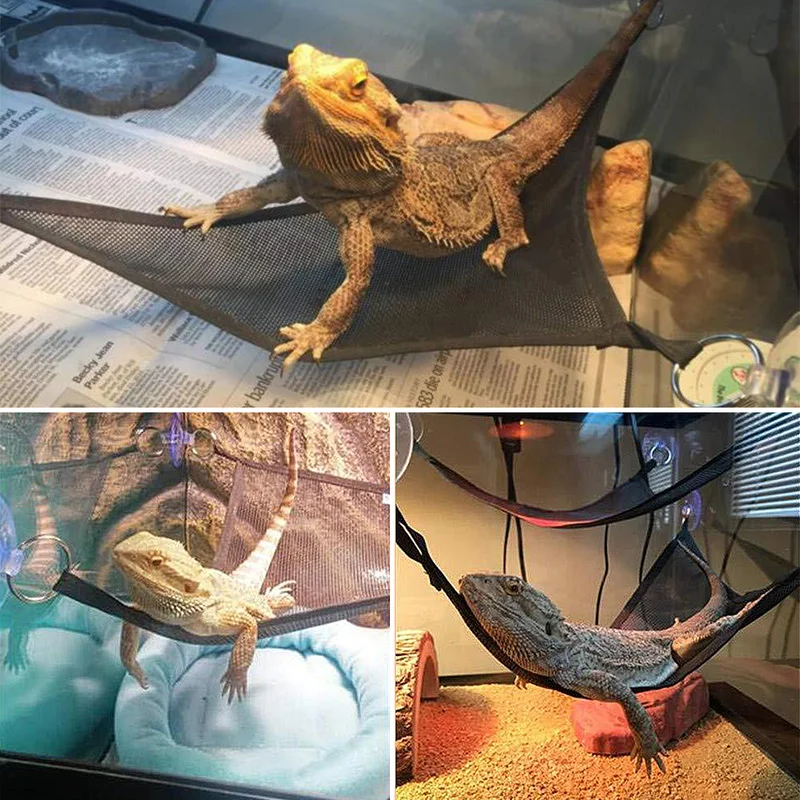 Pet Hammock Mesh Sleeping Bed Play Toys Swing Oxford Fabric for Reptile Snake Lizard Climb Products Supplies Decoration
Pet Hammock Mesh Sleeping Bed Play Toys Swing Oxford Fabric for Reptile Snake Lizard Climb Products Supplies Decoration
