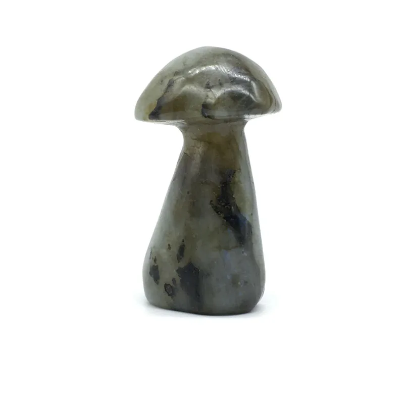 Labradorite Mushroom Shape Natural Moonstone carving Quartz Crystal Healing Home Decoration wedding GIFT Support customization
Labradorite Mushroom Shape Natural Moonstone carving Quartz Crystal Healing Home Decoration wedding GIFT Support customization