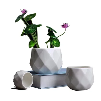 European Polyhedron White Ceramic Flowerpot Individual Flower Garden Balcony Mini Geometric Fleshy Planter Pot Ornaments
European Polyhedron White Ceramic Flowerpot Individual Flower Garden Balcony Mini Geometric Fleshy Planter Pot Ornaments