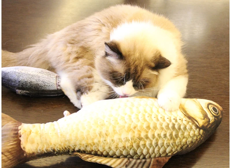 6 catnip fish toy