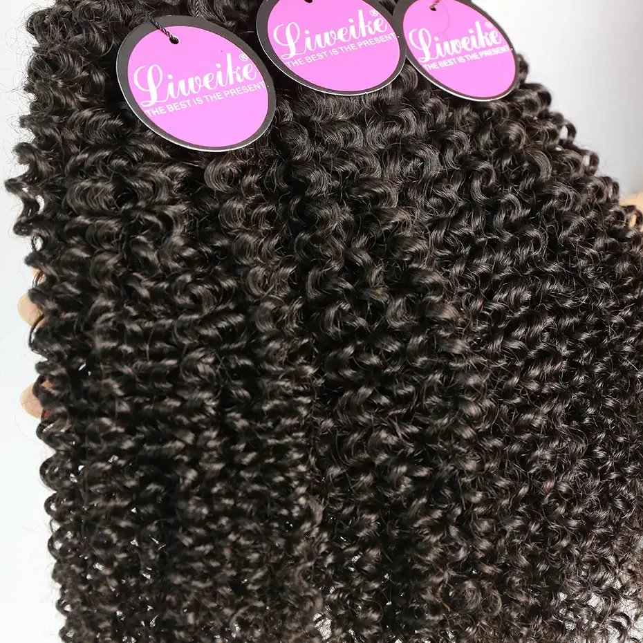 025A6588