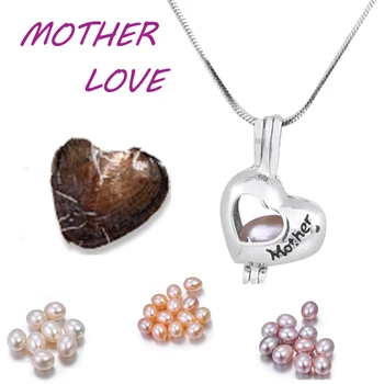 Meaningful Mother love Silver Plated cage pendant Vacuum packed oyster pearl mix Style Jewelry Gifts For Women Children PO143
Meaningful Mother love Silver Plated cage pendant Vacuum packed oyster pearl mix Style Jewelry Gifts For Women Children PO143