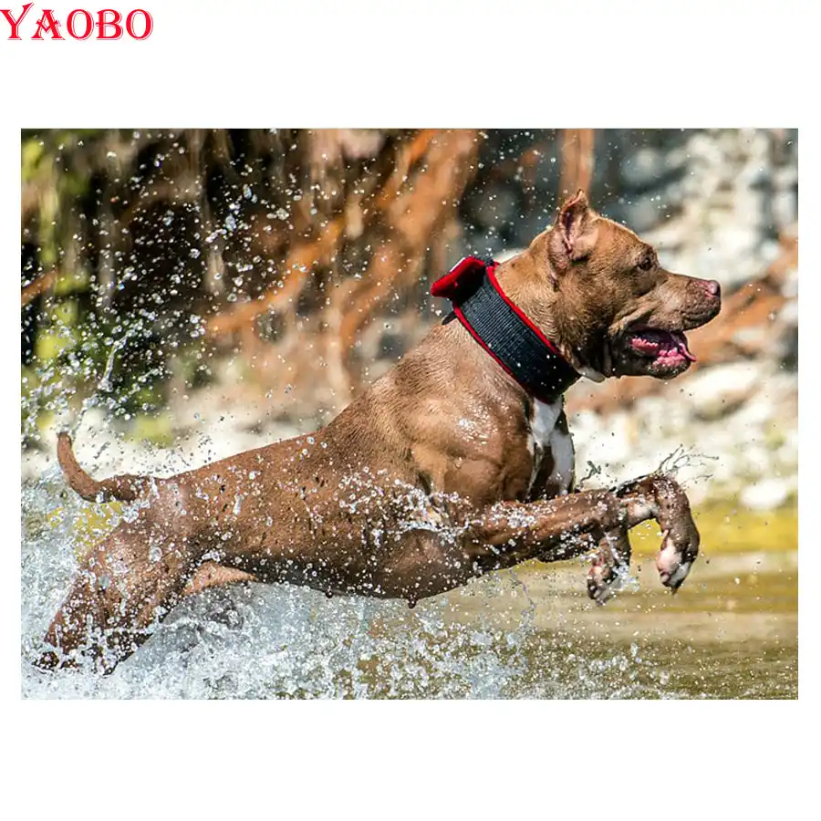 diy elmas boyama amerikan kabadayi pitbull kopek elmas nakis hayvan 5d capraz dikis tam kare matkap mozaik dekor hediyeler elmas boyama capraz dikis gooum