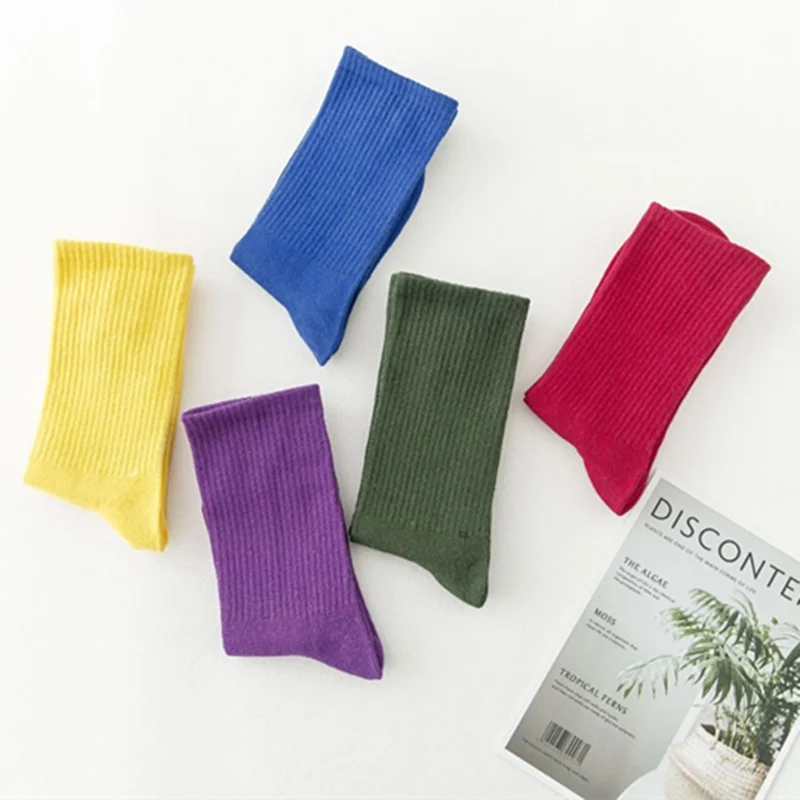 2019 New Summer Unisex Solid color Creative Socks Fashion Cotton Breathable Stock
2019 New Summer Unisex Solid color Creative Socks Fashion Cotton Breathable Stock