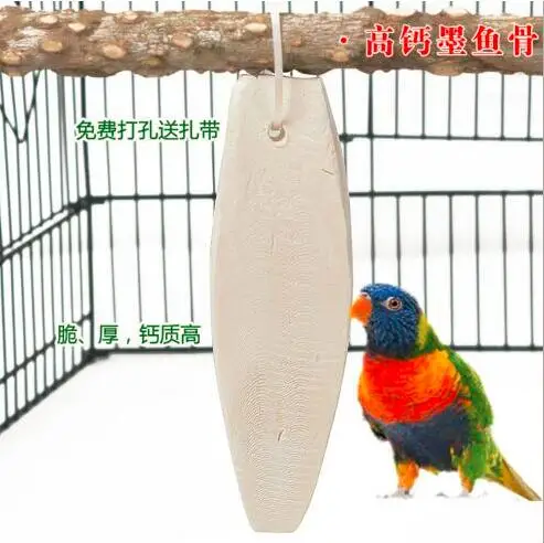 Super cuttlefish bone,Special Grinding for Parrot to disinfect and replenish the Bone of Cuttlefish,Tiger-exhausted parrot birds
Super cuttlefish bone,Special Grinding for Parrot to disinfect and replenish the Bone of Cuttlefish,Tiger-exhausted parrot birds
