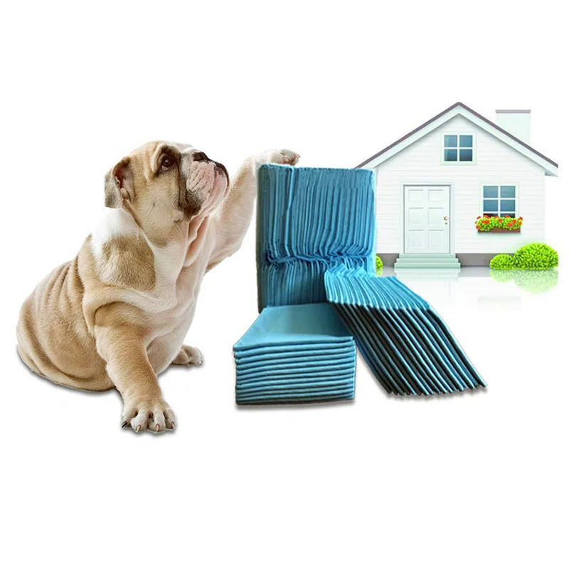100Pcs Pet Diaper Dog Training Urine Pad Super Absorbent Diapers Cat Cleaning Antibacterial Pet Nappy Pee Pads Healthy Clean Mat
100Pcs Pet Diaper Dog Training Urine Pad Super Absorbent Diapers Cat Cleaning Antibacterial Pet Nappy Pee Pads Healthy Clean Mat