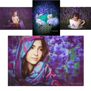 VinylBDS Digital Printing Purple Newborn Backdrop Photography Wedding Lavender Background For Children Photographic Background
VinylBDS Digital Printing Purple Newborn Backdrop Photography Wedding Lavender Background For Children Photographic Background