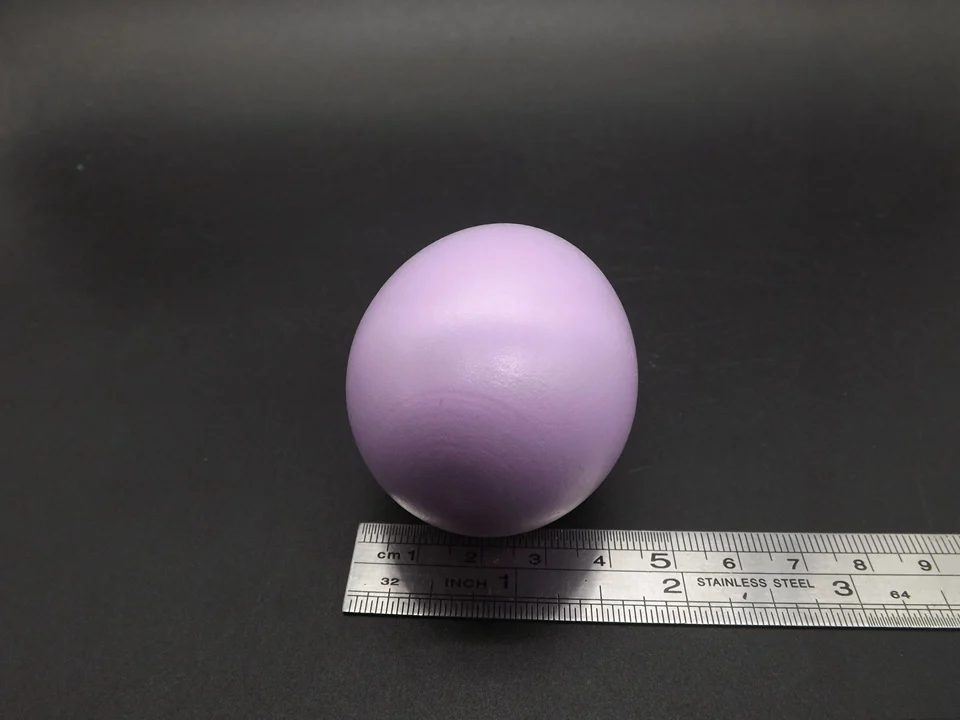 I433-Egg (9)