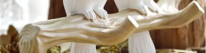 36020171007014941678