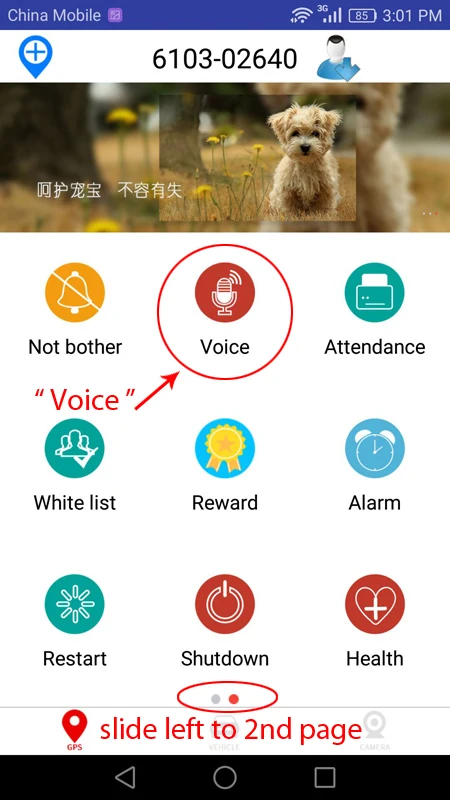 voice21