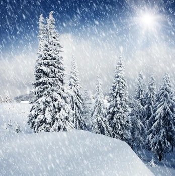 10x20ft Christmas Photography Background Vinyl winter forest scenic Snow photographic Backdrop for Studio Photo XT3876
10x20ft Christmas Photography Background Vinyl winter forest scenic Snow photographic Backdrop for Studio Photo XT3876