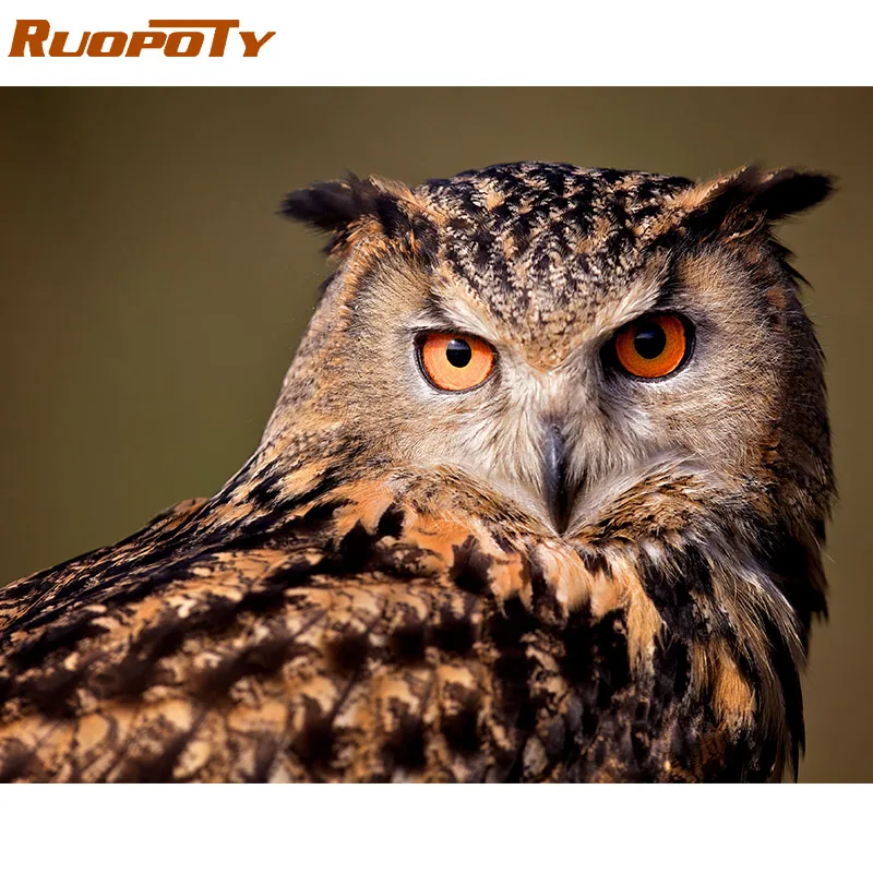 RUOPOTY 60x75cm Frame Owl Diy Painting By Numbers Kit Animals Coloring By Numbers Modern Wall Art Picture By Numbers Home Decors
RUOPOTY 60x75cm Frame Owl Diy Painting By Numbers Kit Animals Coloring By Numbers Modern Wall Art Picture By Numbers Home Decors