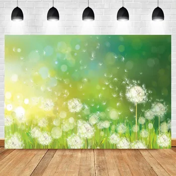 NeoBack Summer Green Natural Scenery Backdrop Dandelion Sun Bokeh Background Photography Photo Props Studio Booth Background
NeoBack Summer Green Natural Scenery Backdrop Dandelion Sun Bokeh Background Photography Photo Props Studio Booth Background