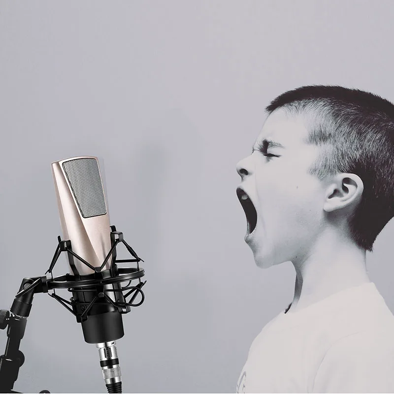 Professional Condenser Microphone Studio Broadcasting Mic with Mount for Computer PC Desktop DJA99
Professional Condenser Microphone Studio Broadcasting Mic with Mount for Computer PC Desktop DJA99