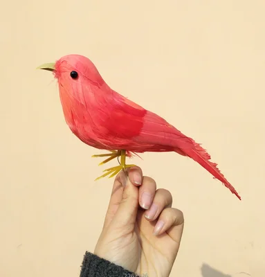 about 22cm wine red feathers bird model toy,handicraft,garden decoration,home furnishings props,gift a2376
about 22cm wine red feathers bird model toy,handicraft,garden decoration,home furnishings props,gift a2376