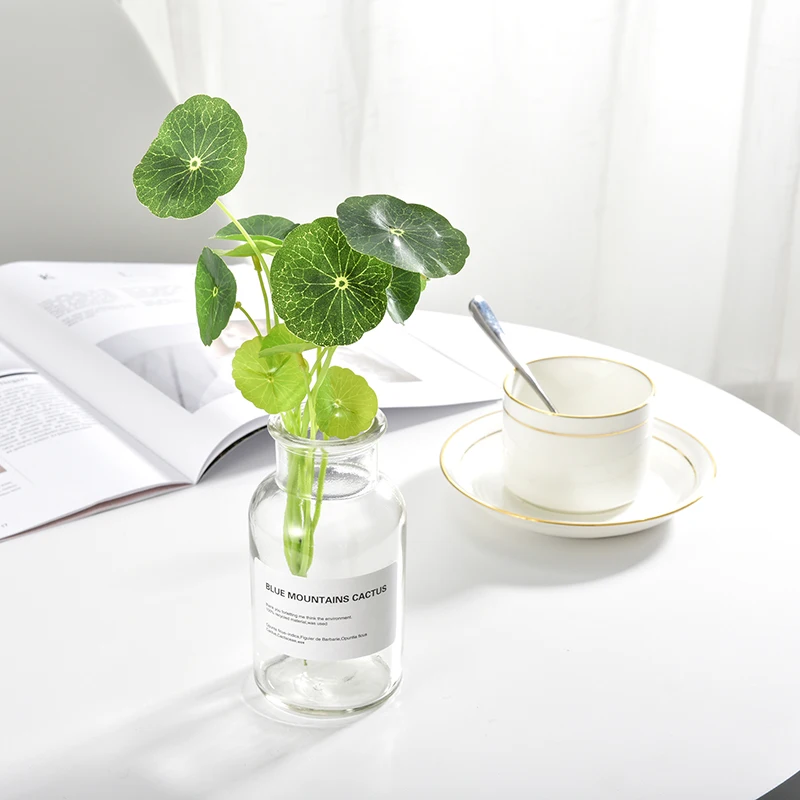 11 Branches Green Lotus Leaf Imitation Fern Plastic Artificial Grass Leaves Plant For Home Wedding Decoration Arrangement
11 Branches Green Lotus Leaf Imitation Fern Plastic Artificial Grass Leaves Plant For Home Wedding Decoration Arrangement