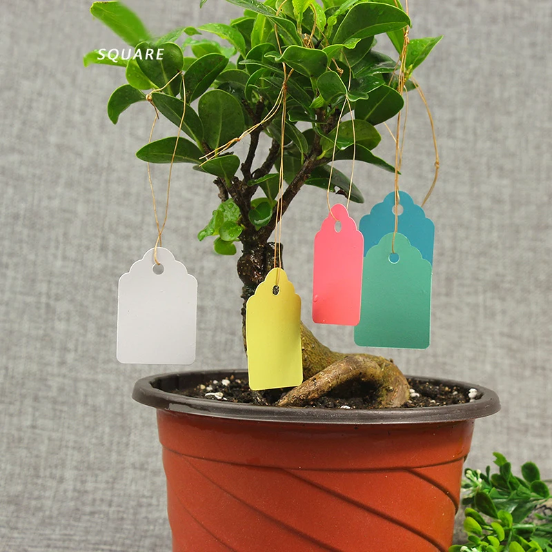 100pcs! Plastic PVC waterproof garden plant label flower tag mark plants garden decoration acessories.
100pcs! Plastic PVC waterproof garden plant label flower tag mark plants garden decoration acessories.