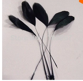 Free shipping 200pcs/Lot 15-20cm Black Stripped Coque Feathers Black Masquerade Chicken Feathers Cocktail Hat Feathers
Free shipping 200pcs/Lot 15-20cm Black Stripped Coque Feathers Black Masquerade Chicken Feathers Cocktail Hat Feathers