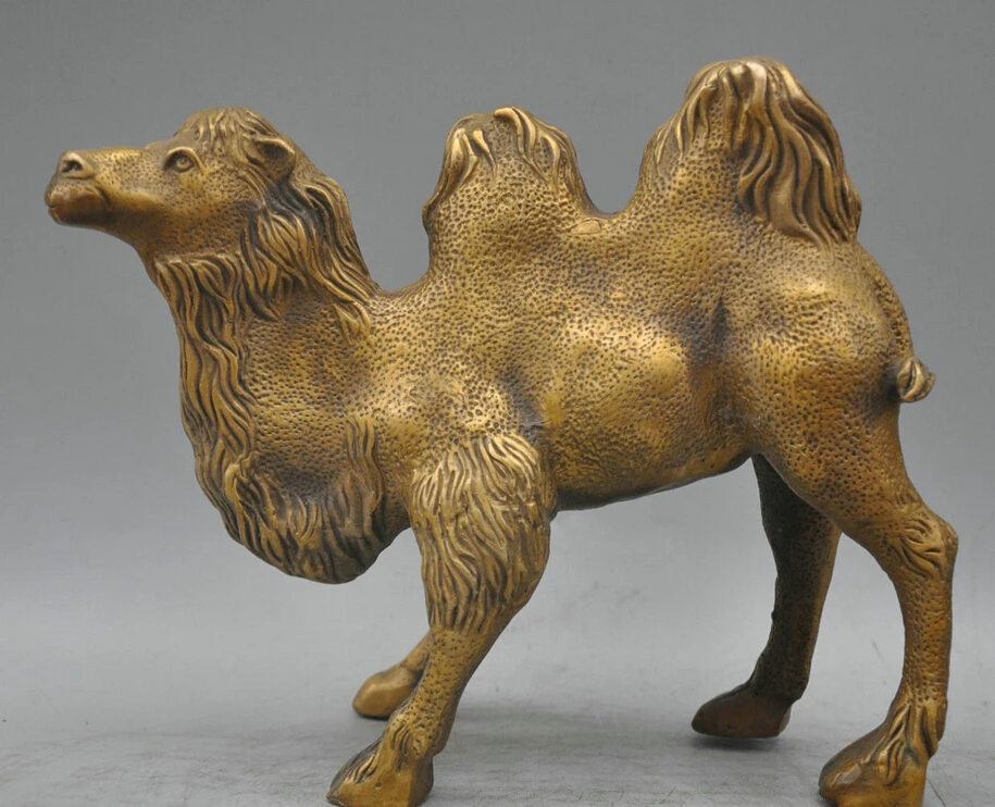 shitou 003273 10 Bronze Copper Animal King of the Desert Two-humped Camel Sculpture Statue
shitou 003273 10 Bronze Copper Animal King of the Desert Two-humped Camel Sculpture Statue