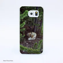 3029G Sleeping Fox Ve1 Print Hard Transparent Case Cover for Galaxy S3 S4 S5 & Mini S6 S7 & edge