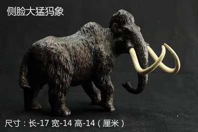 Animal model toy prehistoric ice age mammoth Creative arts and crafts ornaments Furnishing props model wild crafts room Home
Animal model toy prehistoric ice age mammoth Creative arts and crafts ornaments Furnishing props model wild crafts room Home