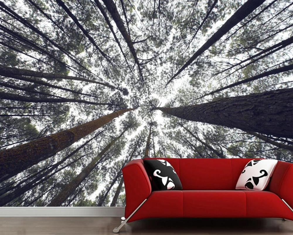 Деревья ствол дерево Вид снизу природа фото 3d обои росписи papel де parede для гостиной