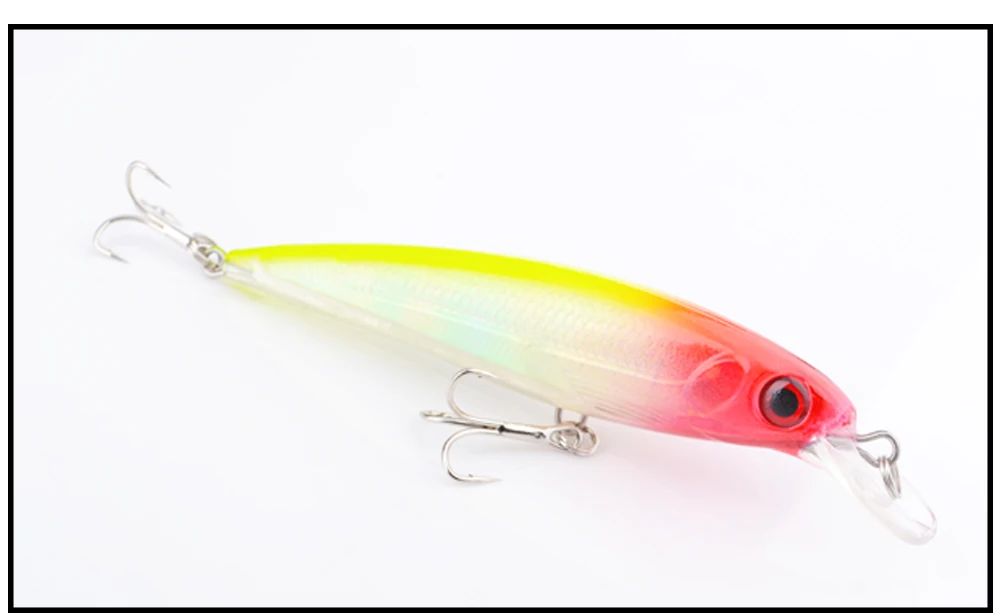 minnow1_12