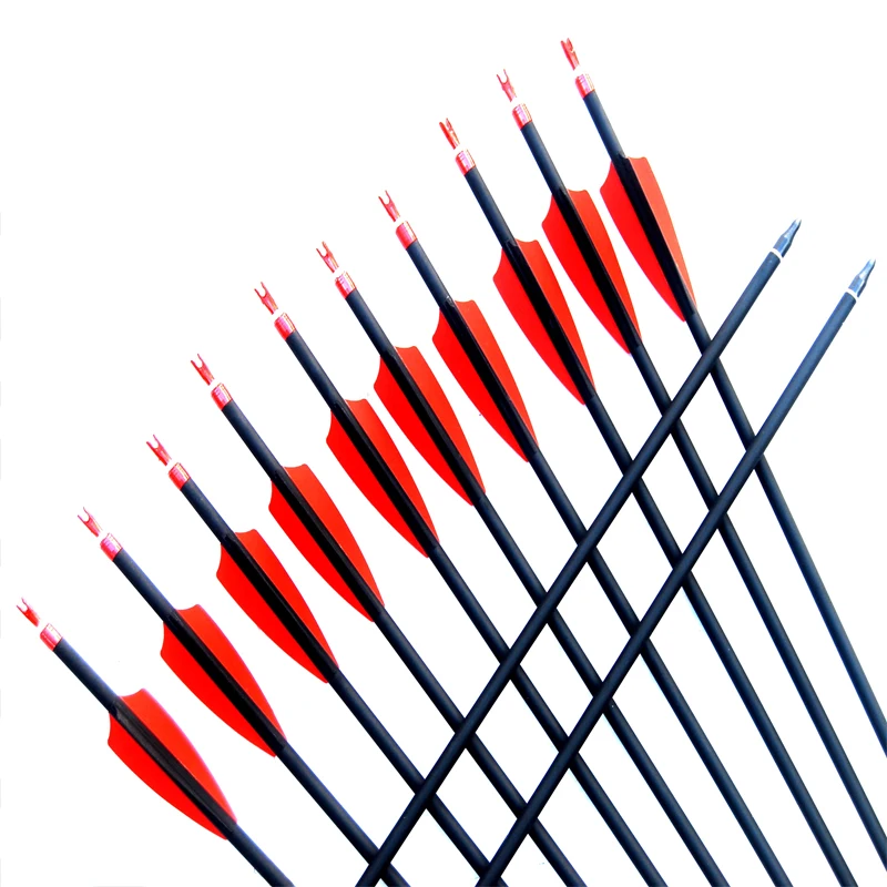 6/12/24/30Pcs Carbon Arrow Outdoor Hunting Bows Arrows For Recurve Compound Bow Archery Hunting Target Parctice Accessories
6/12/24/30Pcs Carbon Arrow Outdoor Hunting Bows Arrows For Recurve Compound Bow Archery Hunting Target Parctice Accessories