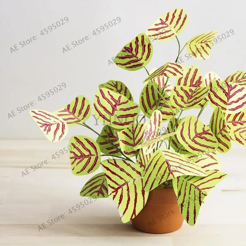 Hot Sale! 200 Pcs/lot rare garden flowers - mixed Bat Grass Bonsai outdoor plants for home Garden Potted Ornamental
Hot Sale! 200 Pcs/lot rare garden flowers - mixed Bat Grass Bonsai outdoor plants for home Garden Potted Ornamental