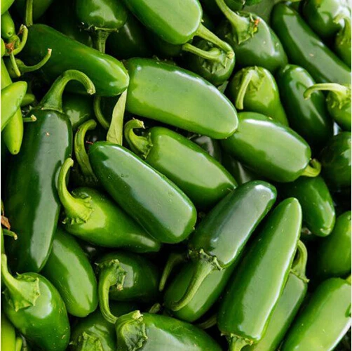 Free Shipping,100 Jalapeno Chile Pepper seeds Fast Growing DIY Home Garden Vegetable Plant, most popular pepper
Free Shipping,100 Jalapeno Chile Pepper seeds Fast Growing DIY Home Garden Vegetable Plant, most popular pepper
