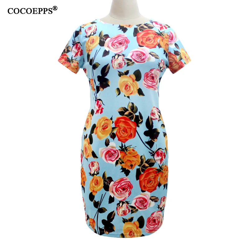 COCOEPPS25