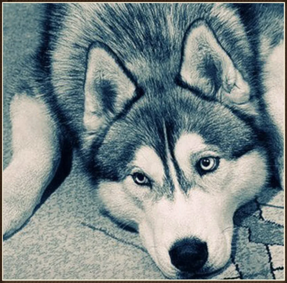 New Husky dog 5D Canvas Diamond Magic Accessories Embroidery Square Round Diamond Non-full Diamond Drawing DIY Home decor
New Husky dog 5D Canvas Diamond Magic Accessories Embroidery Square Round Diamond Non-full Diamond Drawing DIY Home decor