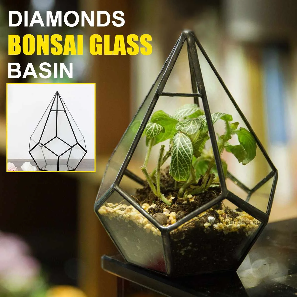 NEW Bonsai Modern Glass Geometric Terrarium Tabletop Succulent Fern Moss Box Case 12x12x15cm Glass Flower Plant Pot for Garden
NEW Bonsai Modern Glass Geometric Terrarium Tabletop Succulent Fern Moss Box Case 12x12x15cm Glass Flower Plant Pot for Garden