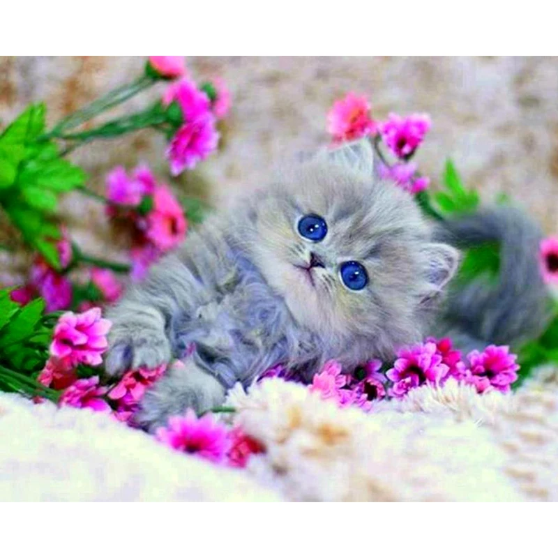 5D DIY diamond embroidery Kitten in the flowers diamond painting Cross Stitch full square Rhinestone mosaic decoration
5D DIY diamond embroidery Kitten in the flowers diamond painting Cross Stitch full square Rhinestone mosaic decoration