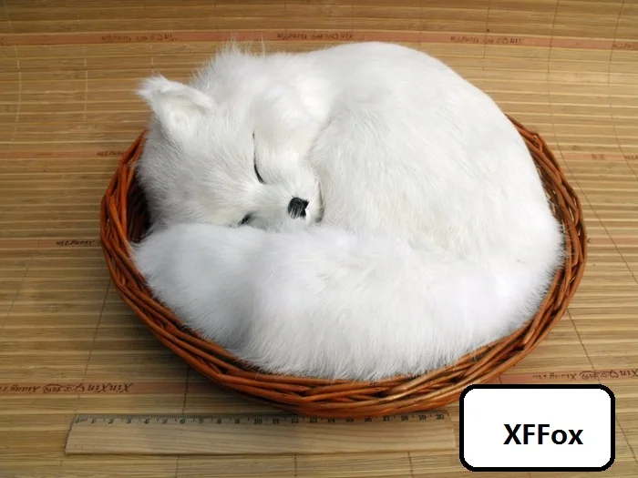 big real life sleeping fox model plastic&furs simulation white fox doll in a basket gift about 28x28cm xf1796
big real life sleeping fox model plastic&furs simulation white fox doll in a basket gift about 28x28cm xf1796